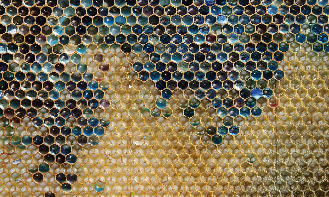 honeycomb.jpg